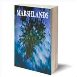The Ecology of Marshlands